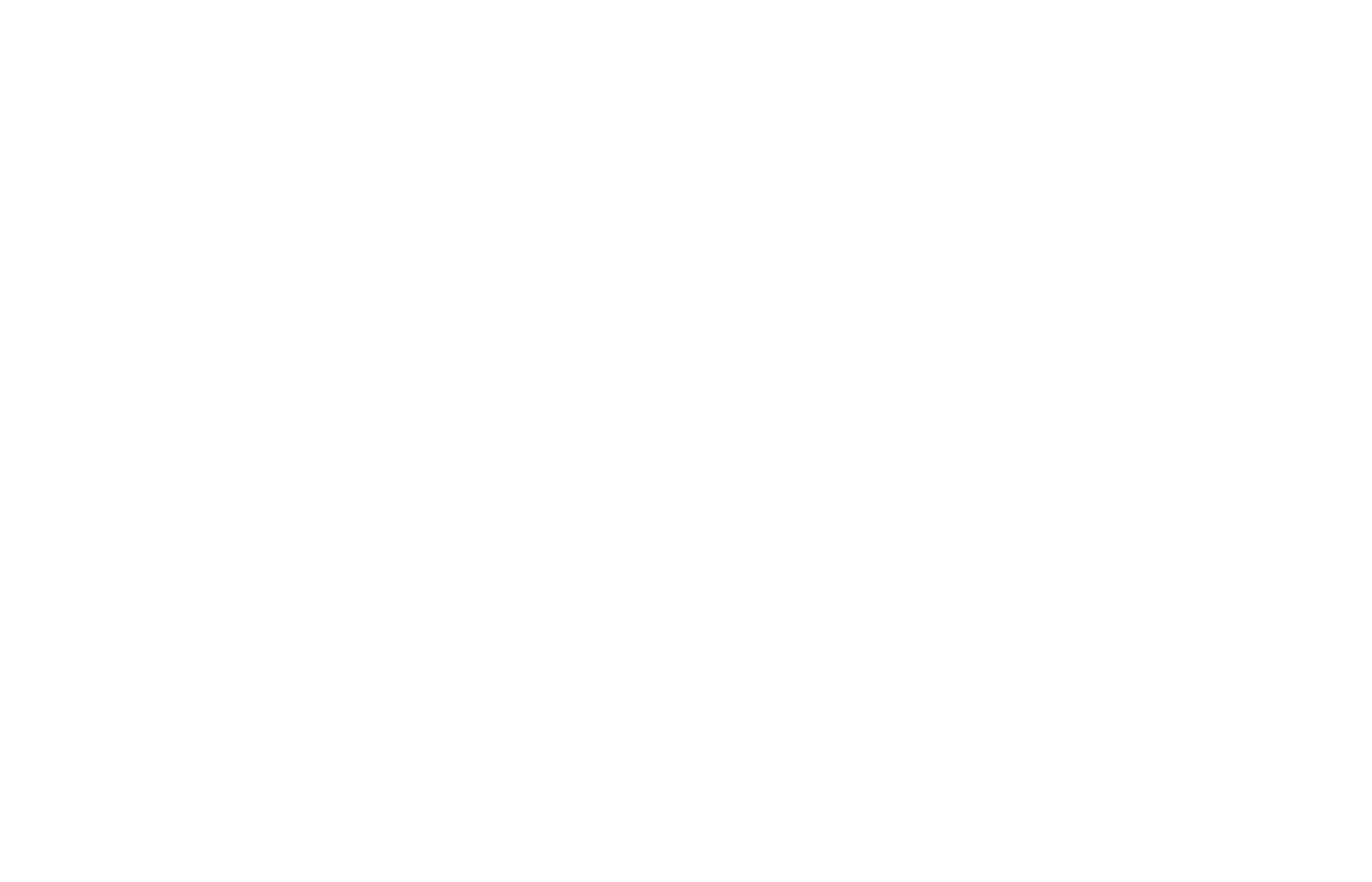 Logo Lucky Wind bianco trasp